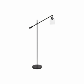 Asstd National Brand Lalia Home Swing Arm Floor Lamp With Clear Glass Cylindrical Shade - BLACK ONE SIZE