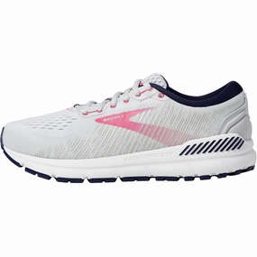 Brooks Addiction GTS 15 Oyster / Peacoat / Lilac Rose  120352-1B-054 Women's