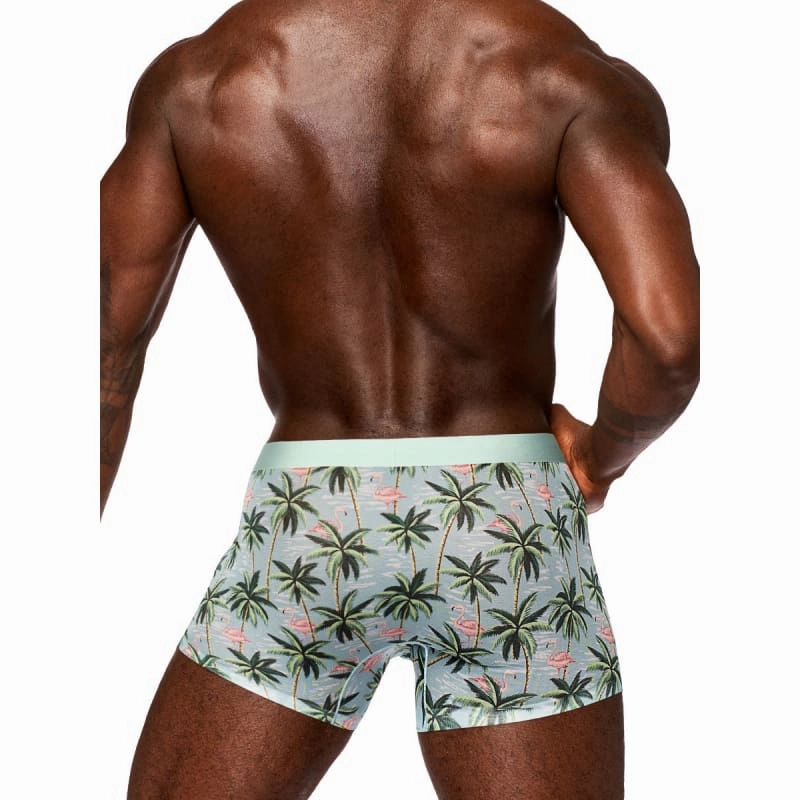 Sheer Prints - Seamless Sheer Short - Medium - Flamingo